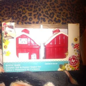 Pioneer Woman salt and pepper saker